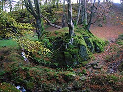 The moot hill of Giffordland with burn and pool site Giffordland Moot.JPG