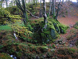 A likely semi-natural moot hill in the Giffordland Glen Giffordland Moot.JPG