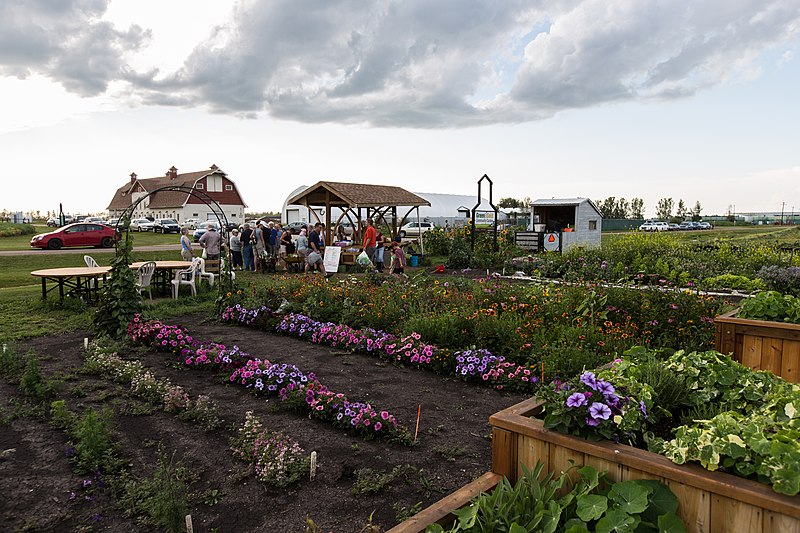 File:Green & Gold Community Garden (28702484516).jpg