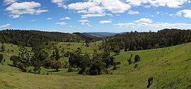 Зелена планинска панорама, Национален парк Ламингтън QLD декември 2013.jpg
