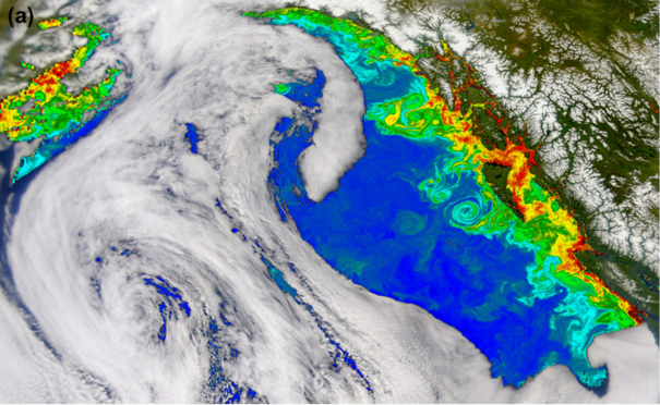 NASA Visible Earth image; ocean color from the SeaWIFS satellite, showing an anticyclonic Haida eddy in the Alaskan Current, southwest of Haida Gwaii.