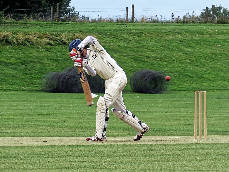 File:Hatfield Broad Oak CC v Little Hallingbury CC at Hatfield Broad Oak, Essex 039.jpg