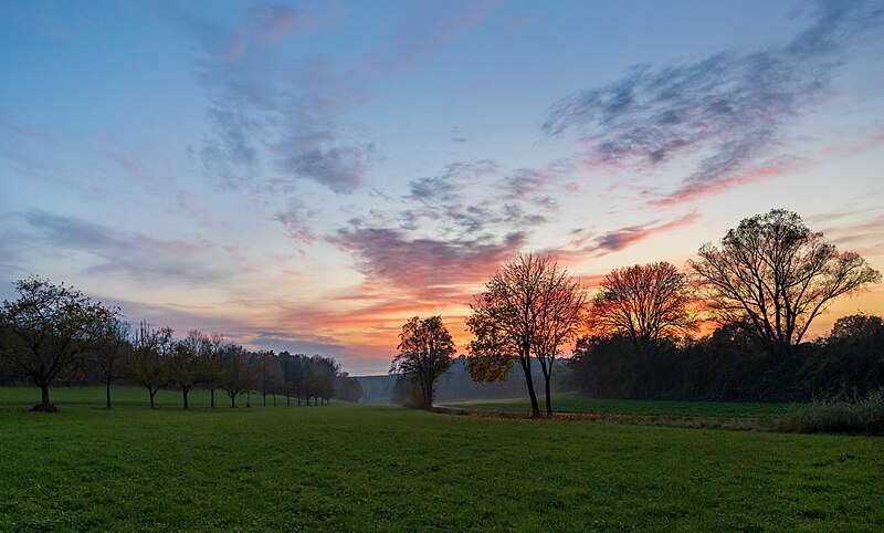 File:Heilbronn - Biberach - Michelbachtal - südlicher Teil von NO bei Sonnenuntergang (2).jpg