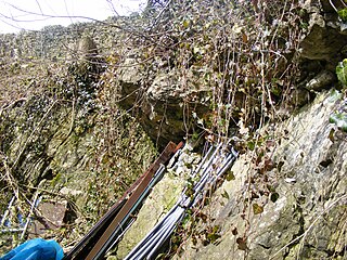 <span class="mw-page-title-main">Hobbs Quarry SSSI, Shepton Mallet</span> Geological Site of Special Scientific Interest in Somerset, England