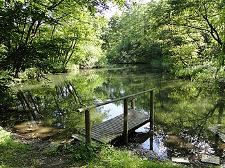 Wallensteingraben in Hohen Viecheln