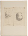 Homo sapiens - Georgië - 1700-1880 - Print - Iconographia Zoologica - Special Collections University of Amsterdam - UBA01 IZ19400212.tif