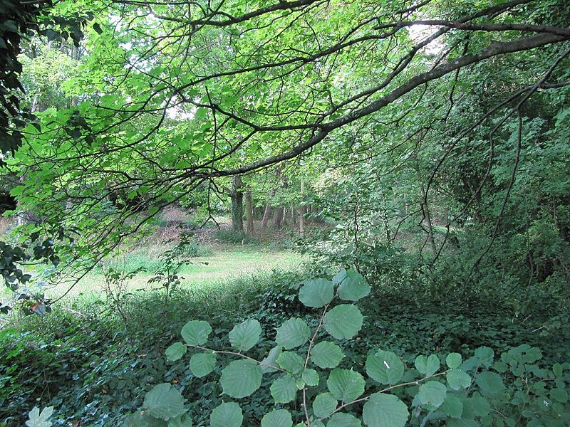 File:In a meadow near here - geograph.org.uk - 2570876.jpg