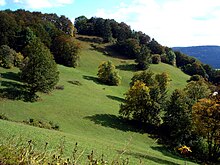 Blick vom Irrenberg