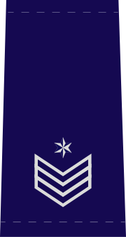 Миниатюра для Файл:Israel-Police-OR-9b.svg