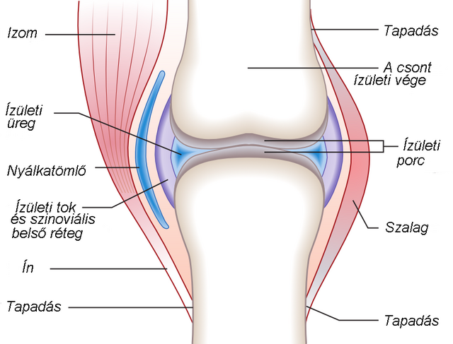 a térd traumás ízületi gyulladása fokú térdízület deformáló artrózisának kezelése