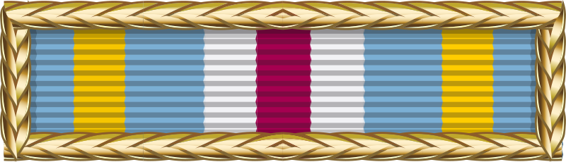 File:Joint Meritorious Unit Award-3d.svg