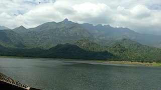 <span class="mw-page-title-main">Karuppanadhi Dam</span> Dam in Tamil Nadu, India