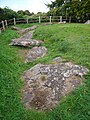 Kerbstones on the western side of the Coldrum Long Barrow. [36]