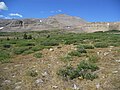 Kings Peak, Uinta Mountains, Duchesne County, Utah, USA 01.jpg