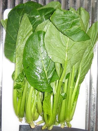 <span class="mw-page-title-main">Komatsuna</span> Variety of leaf vegetable