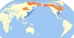 Larus smithsonianus map.svg