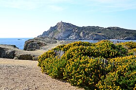 Petit Gaou Adası