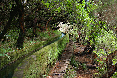  Levada do Risco things to do in Funchal
