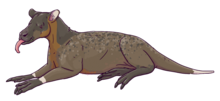 Restoration of Diplobune secundaria, an anoplotheriid that coexisted with Xiphodon in the late Eocene Life reconstruction of Diplobune secundaria.png