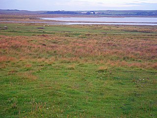 <span class="mw-page-title-main">Loch Gruinart</span> Sea Loch