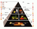 MA Food Pyramid.gif