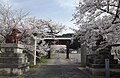 Second photo showcasing Maegamiji Temple