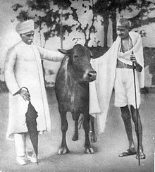 Malaviya with Gandhi.