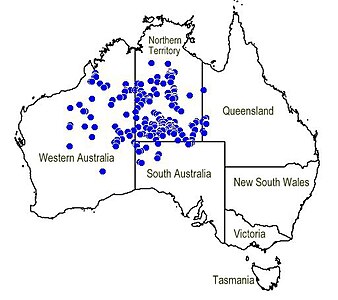 Stippenkaart voor Newcastelia spodiotricha in Australië