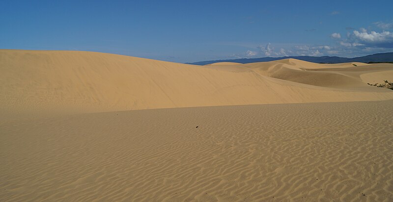 File:Medanos de Coro I.jpg