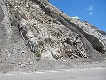 Menefee Formation in a road cut through a hogback ridge near Cuba, New Mexico Menefee Formation Cuba.jpg