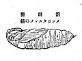 2023年4月4日 (火) 07:18時点における版のサムネイル