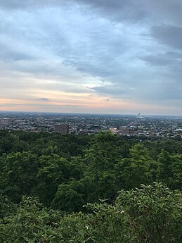 Day 10: Mount Royal Part in Montreal