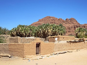 Example of an arid pastoral-oasis agricultural system in Fada, Chad