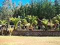 Miniatura para Museo del Niño Rural