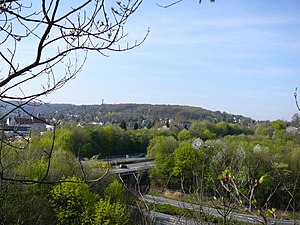 In the background the Nützenberg, seen from the northeast