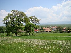 Skyline of Borošneu Mare