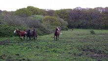 Fișier: NF Ponies Racing for fun.ogv