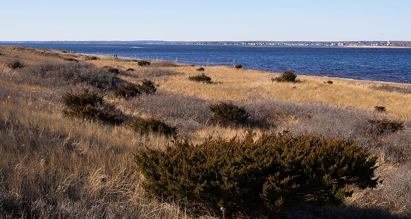 File:Napatree Point (52242).jpg