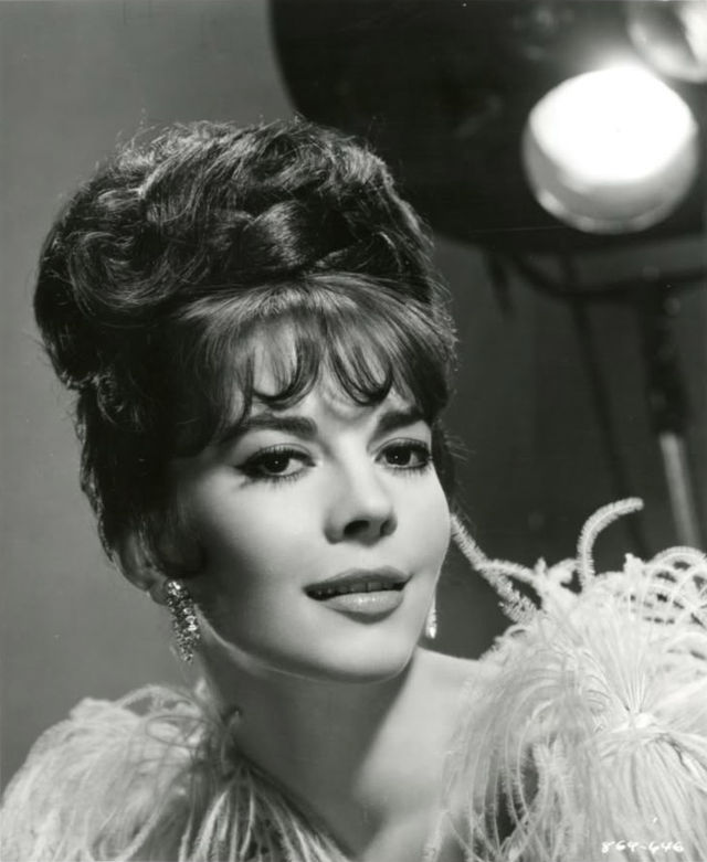 1960s hairstyles bouffant