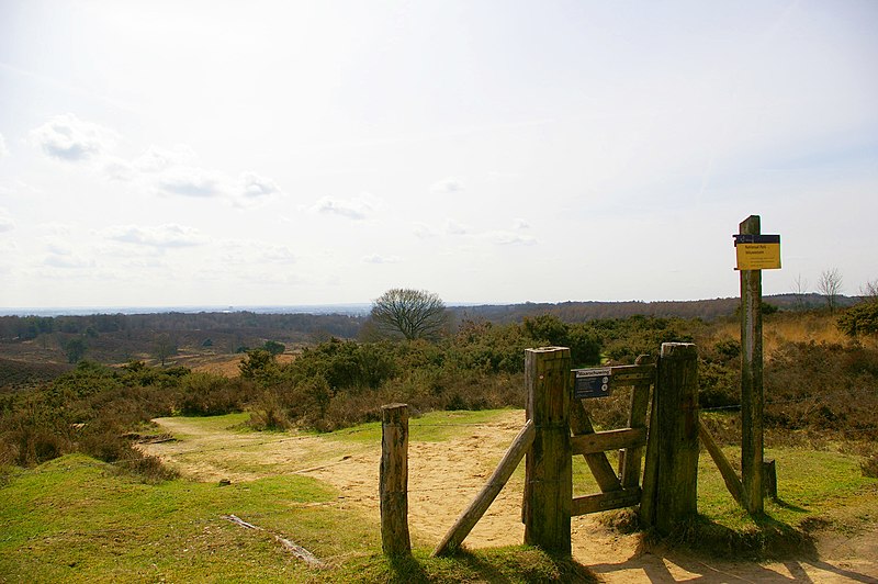 File:Nationaal Park Veluwezoom near Posbank.jpg