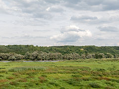 Landschaft im Nationalpark Unteres Odertal bei Stolpe