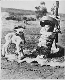 Navajo baby on a cradleboard (1936) Navajo papoose on a cradleboard with a lamb approaching, Window Rock, Arizona, 1936 - NARA - 519160.jpg