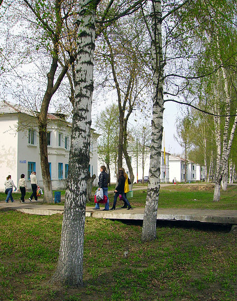 File:Near Malov & Michurin Streets Crossing.jpg