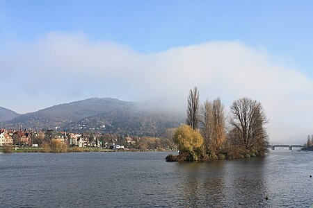 Neckar 2