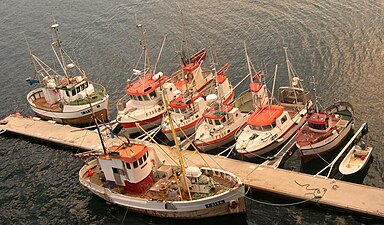 Flytbrygga med de flesta fiskebåtarna i hamn (2008).