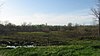 New Castle Archeological Site New Castle Archaeological Site from southeast.jpg