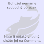 File:Nofish.svg