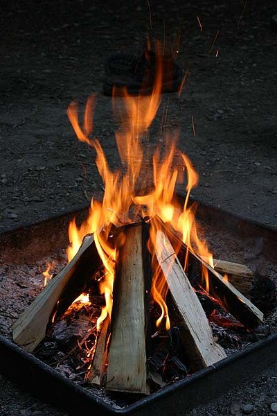 File:Now Thats a Fire.jpg