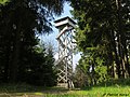 Oberpfalzturm auf der Steinwald-Platte.jpg