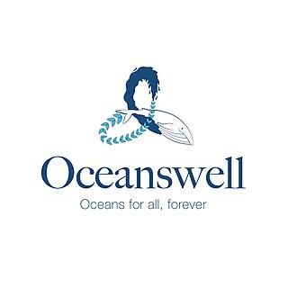 <span class="mw-page-title-main">Oceanswell</span>